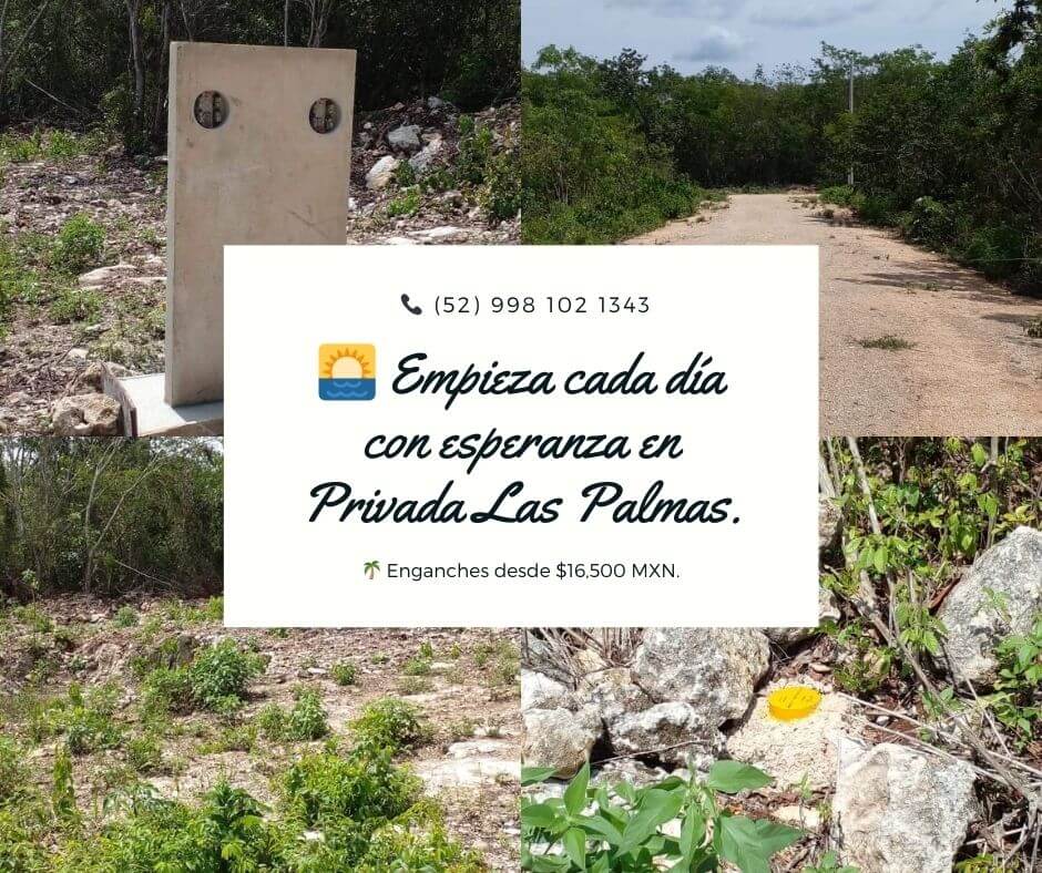 Privada Las Palmas