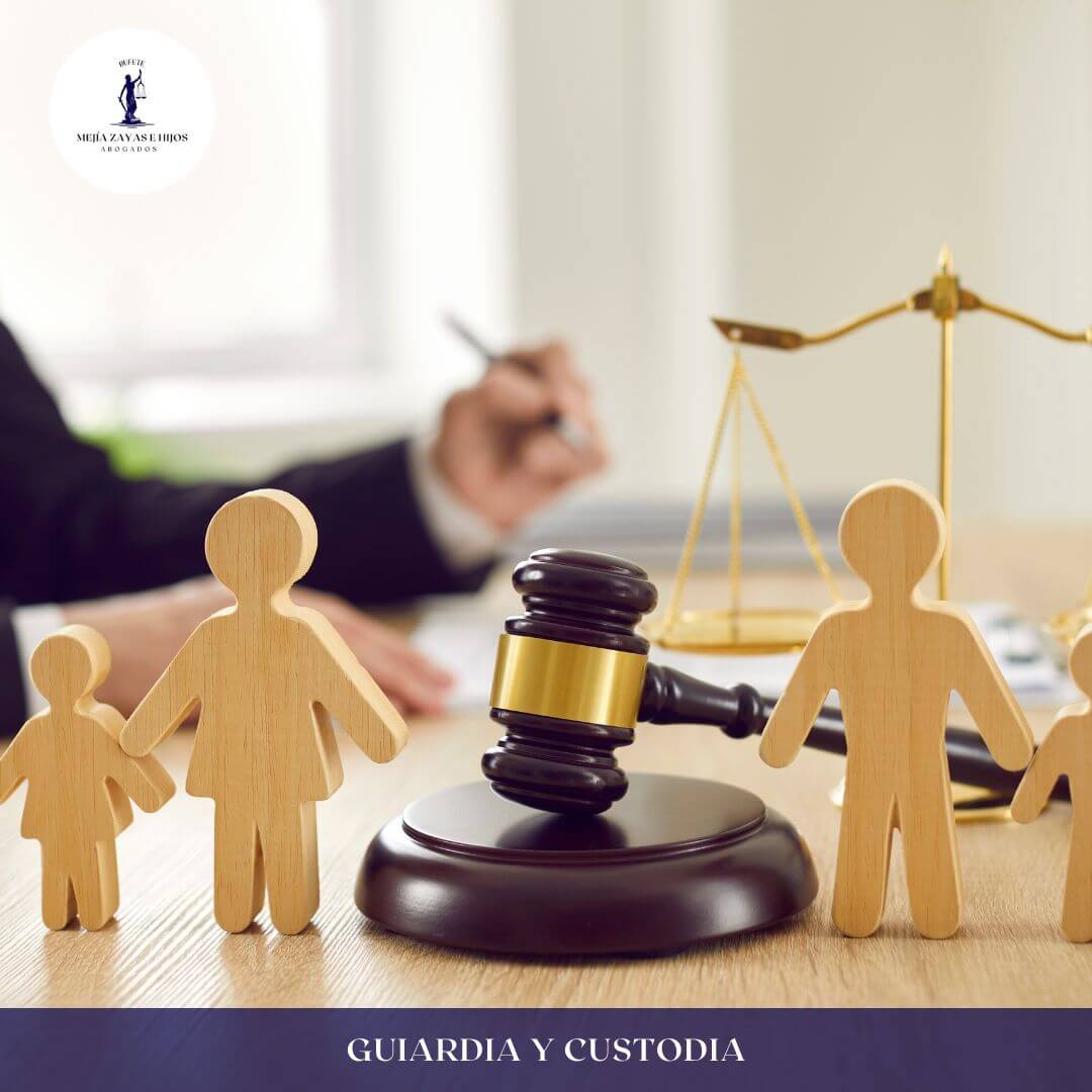 Bufete Mejía Zayas e Hijos Abogados