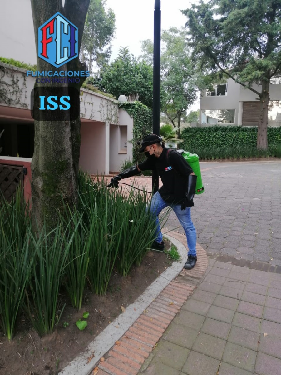 FUMIGACIONES CON INGENIO