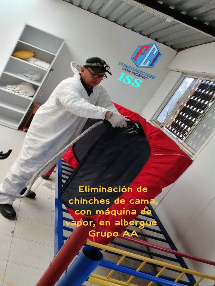 FUMIGACIONES CON INGENIO