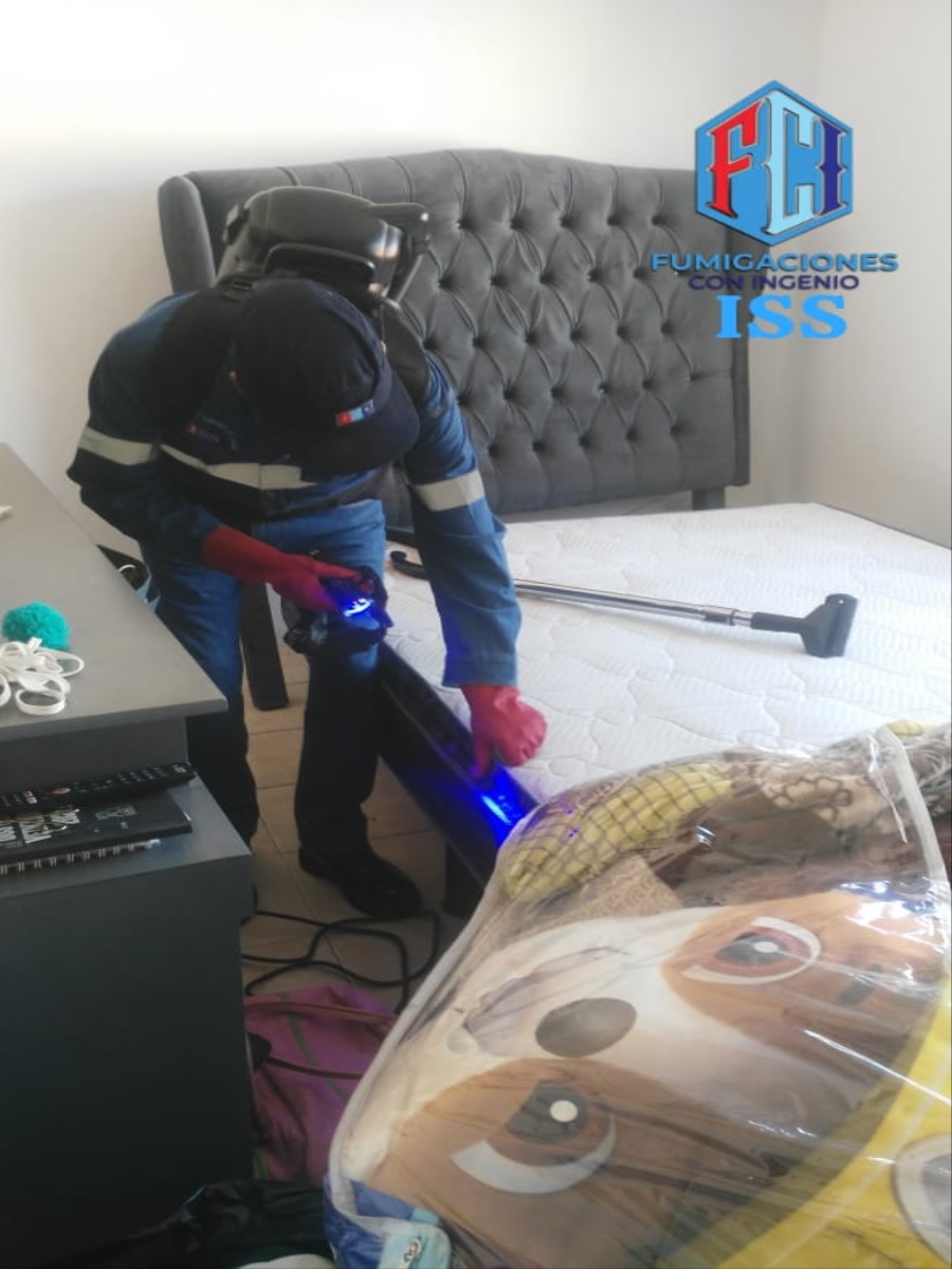 FUMIGACIONES CON INGENIO