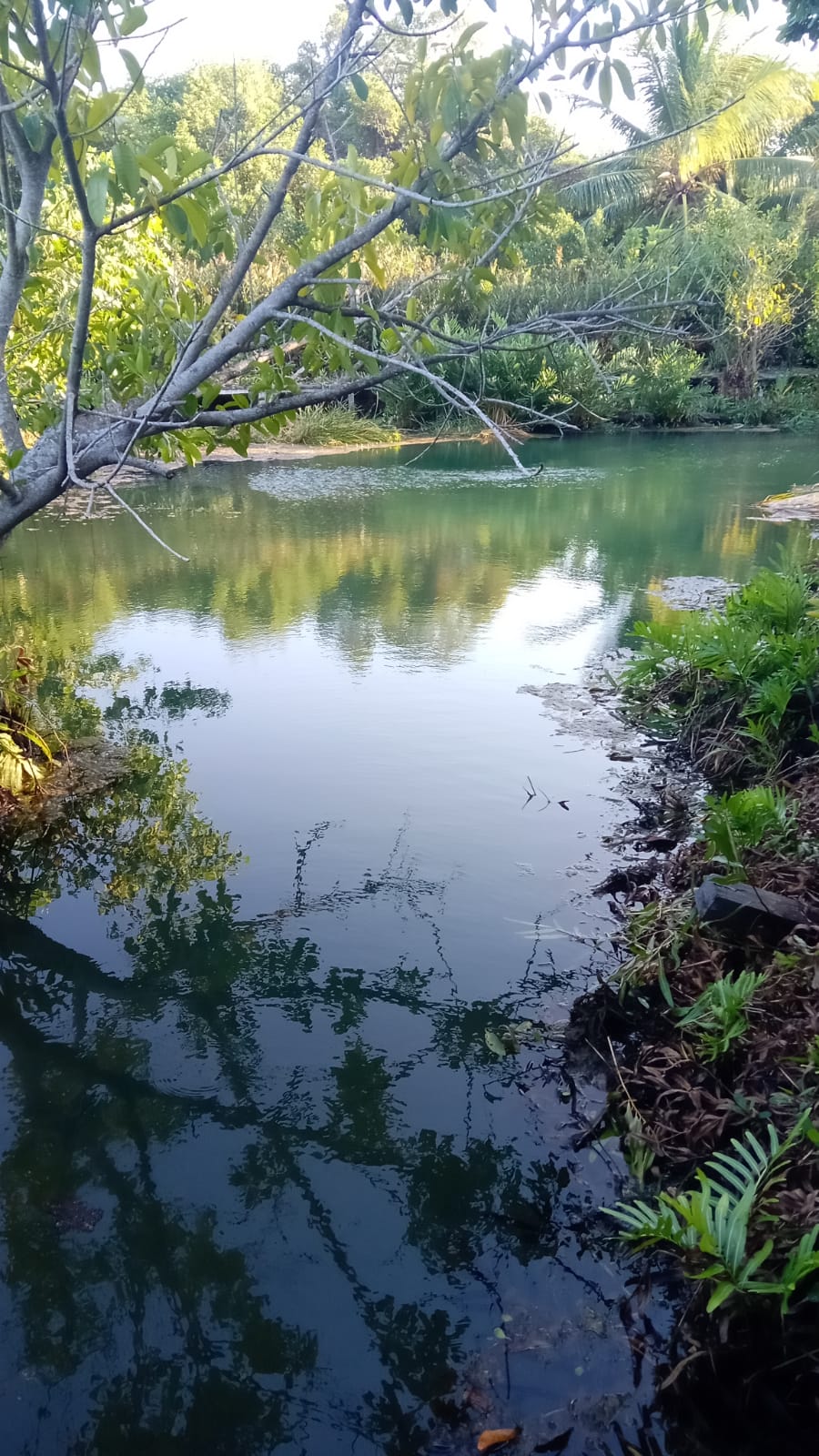 Tour Ojo de Agua Kambul Nah